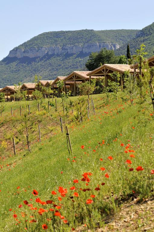 Domaine Saint Esteve Мийо Стая снимка